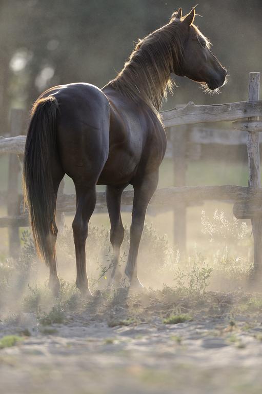 Вилла Walter Ranch Kaskantyu Экстерьер фото